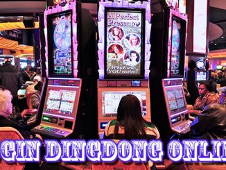 Login dingdong online