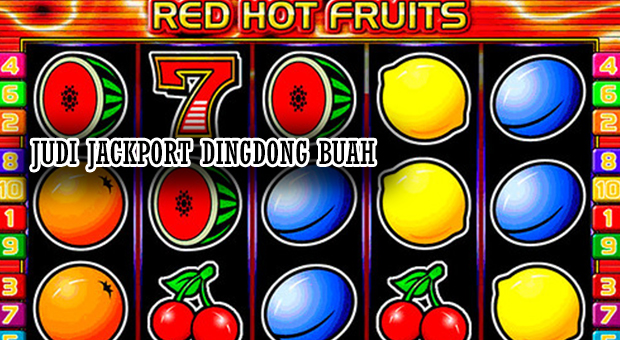 Judi jackpot dingdong buah